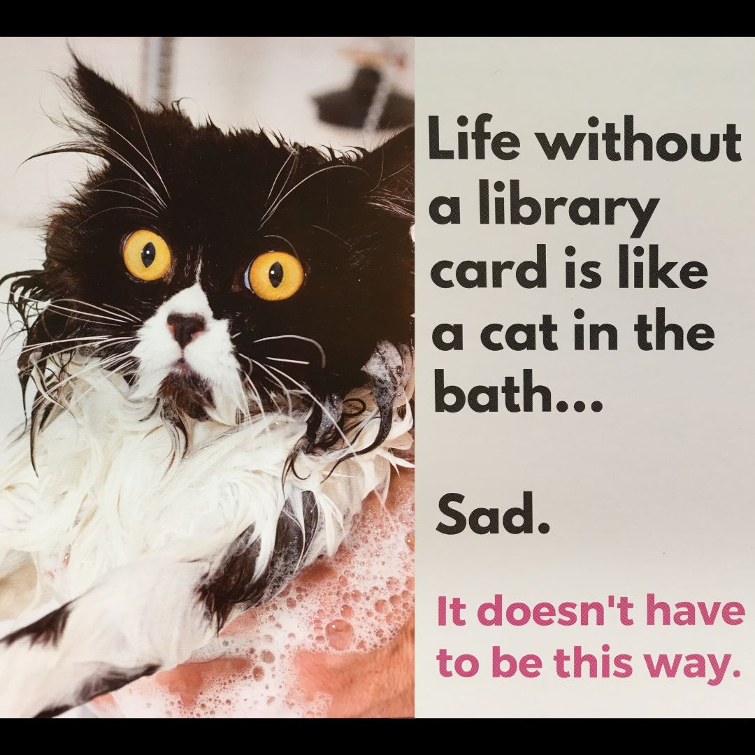 Cat in the Bath 1080x1080 alt=""