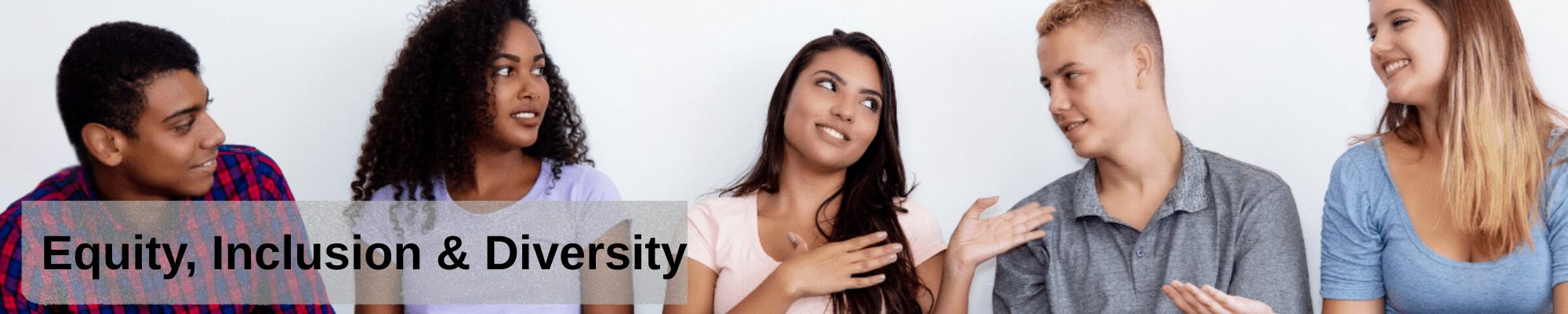Equity, Inclusion and Diversity